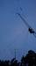 LY5W Image